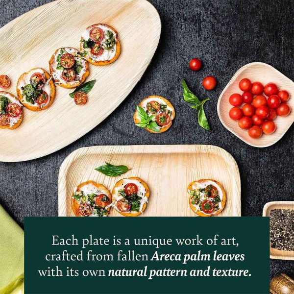 Areca Palm Leaf Trays - Image 3