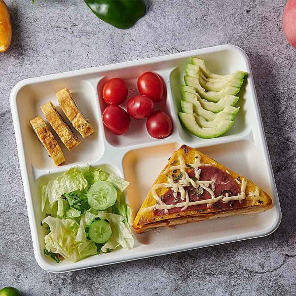 Sugarcane Bagasse Compartment Plates - Image 2