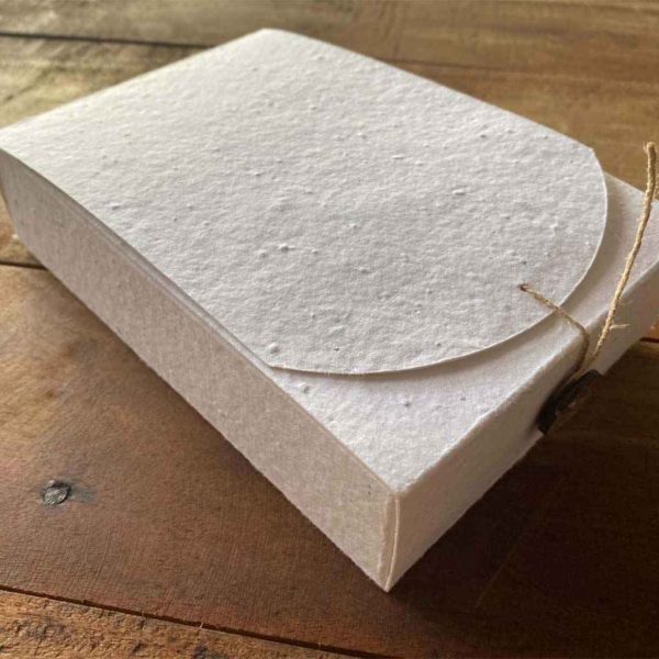 Seed Paper Box - Image 2