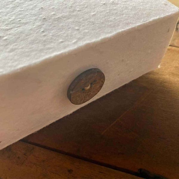Seed Paper Box - Image 5