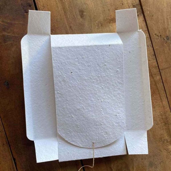 Seed Paper Box - Image 7