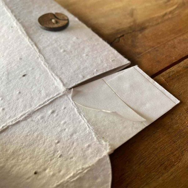 Seed Paper Box - Image 8