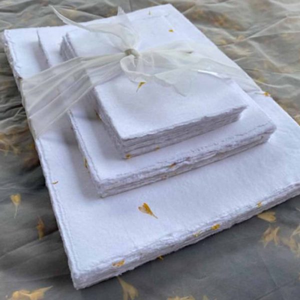 Seed Paper Customized Size Sheets - Image 3