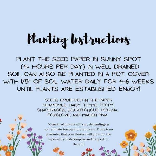 Seed Paper Greeting Cards - Image 6