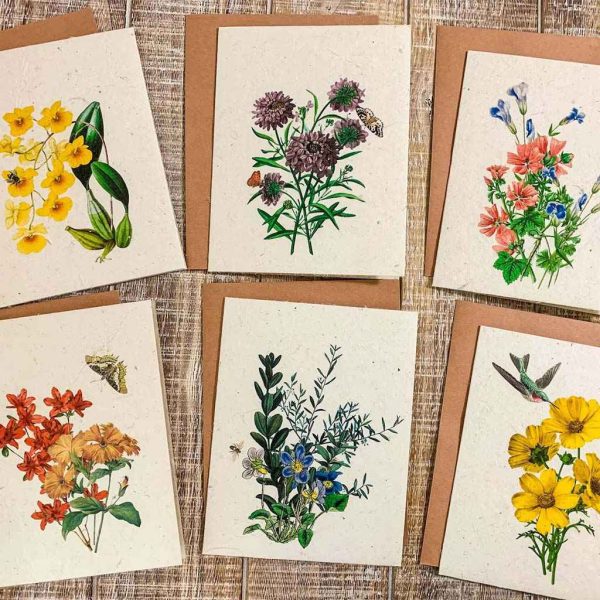 Seed Paper Greeting Cards - Image 2