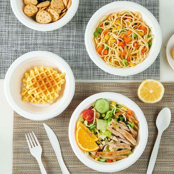 Sugarcane Bagasse Bowl - Image 3